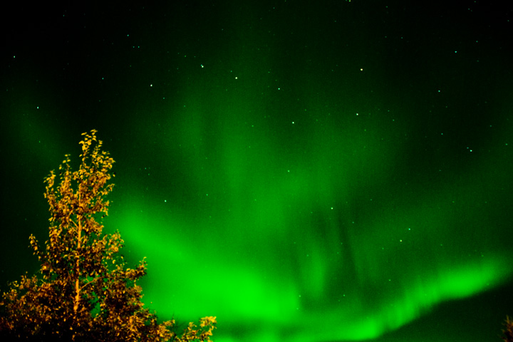 An aurora's most common green is the 557.7-nanometer light emitted by oxygen atoms around 100 km up.