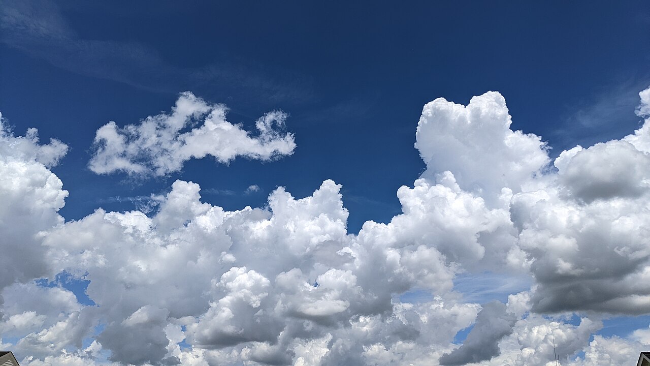 White cumulus clouds. Because the water droplets are larger than visible wavelengths, Mie scattering spreads all colors evenly, so they look white.