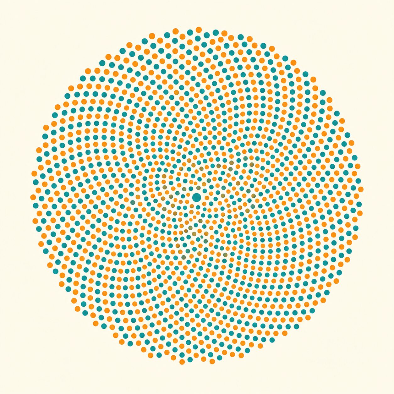 Placing dots one by one, each turned by the golden angle (about 137.5 degrees), spontaneously produces two interlocking families of spirals — a conceptual illustration of how a sunflower's seeds are arranged.
