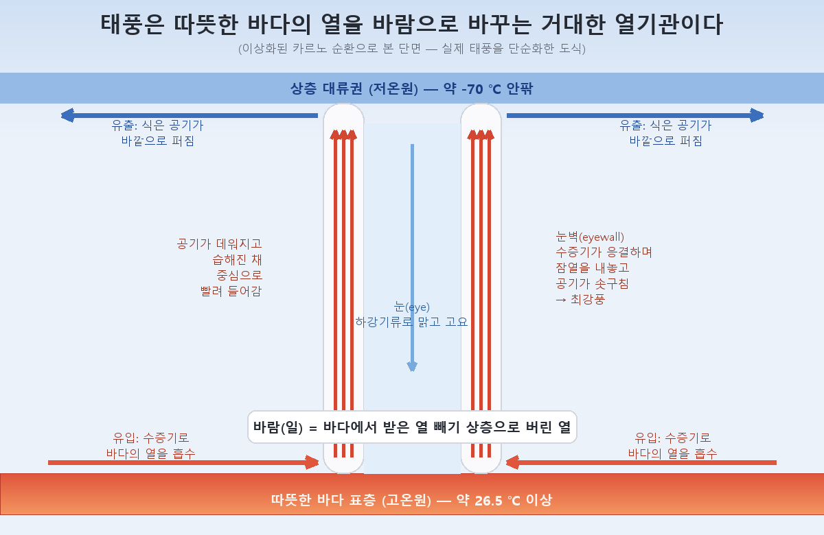 A cross-section of a typhoon idealized as a Carnot heat engine. From the hot reservoir (the warm sea) the air absorbs heat as water vapor and surges up the eyewall; it sheds heat to the upper cold reservoir, and that difference becomes wind (work).