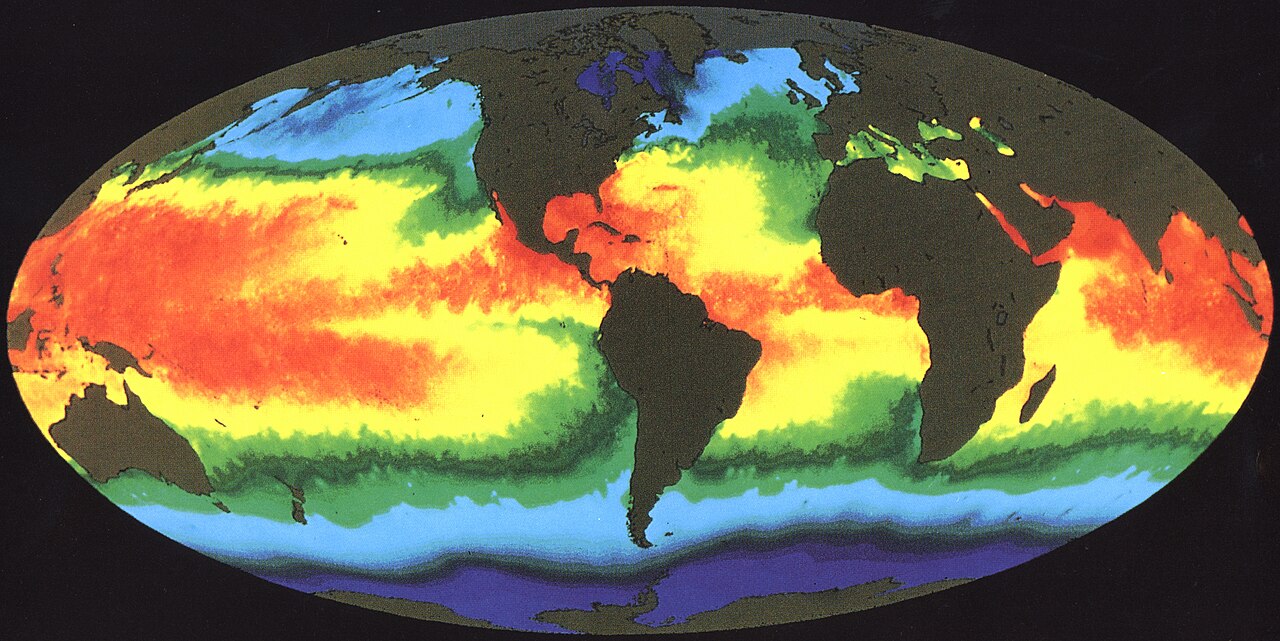 A global sea surface temperature map. The redder the water, the warmer it is; a typhoon draws on such tropical seas, warmed to about 26.5°C or more, as its hot reservoir — its fuel.