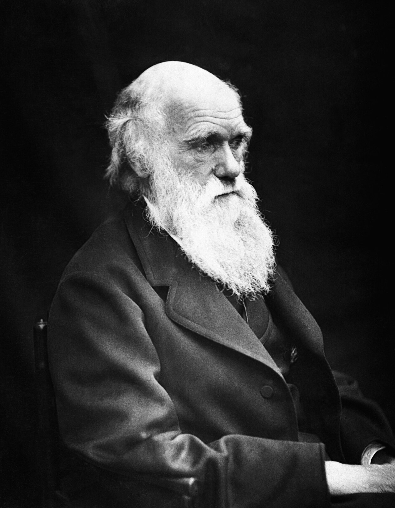 Charles Darwin (1809–1882). In his 1875 book Insectivorous Plants, he called the Venus flytrap 'one of the most wonderful plants in the world.'