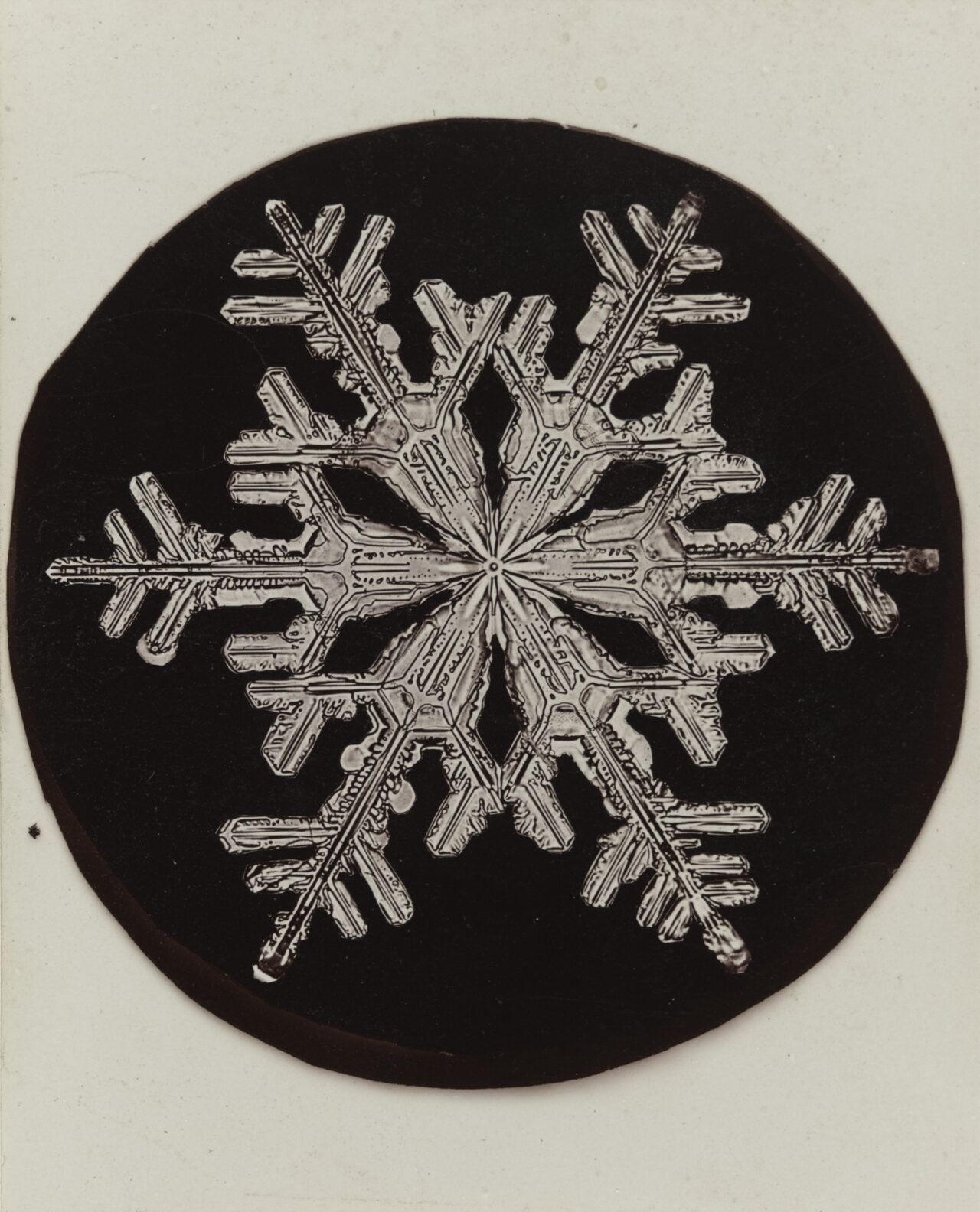 A snow crystal photographed by Wilson Bentley around 1905. The hexagonal symmetry of water molecules emerges as a macroscopic hexagonal form.