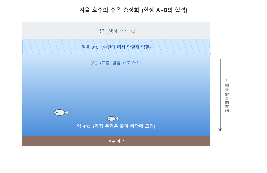 A schematic of winter thermal stratification in a lake. Below the surface ice (0°C), the temperature rises with depth, so the bottom stays at about 4°C.