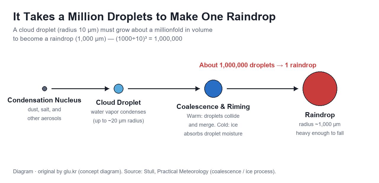 Diagram of droplet growth from condensation nucleus to raindrop
