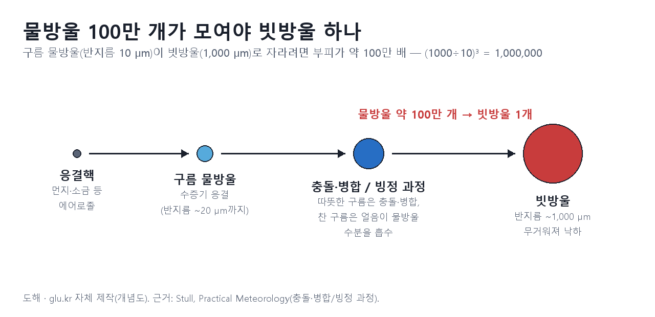 Diagram of droplet growth from condensation nucleus to raindrop