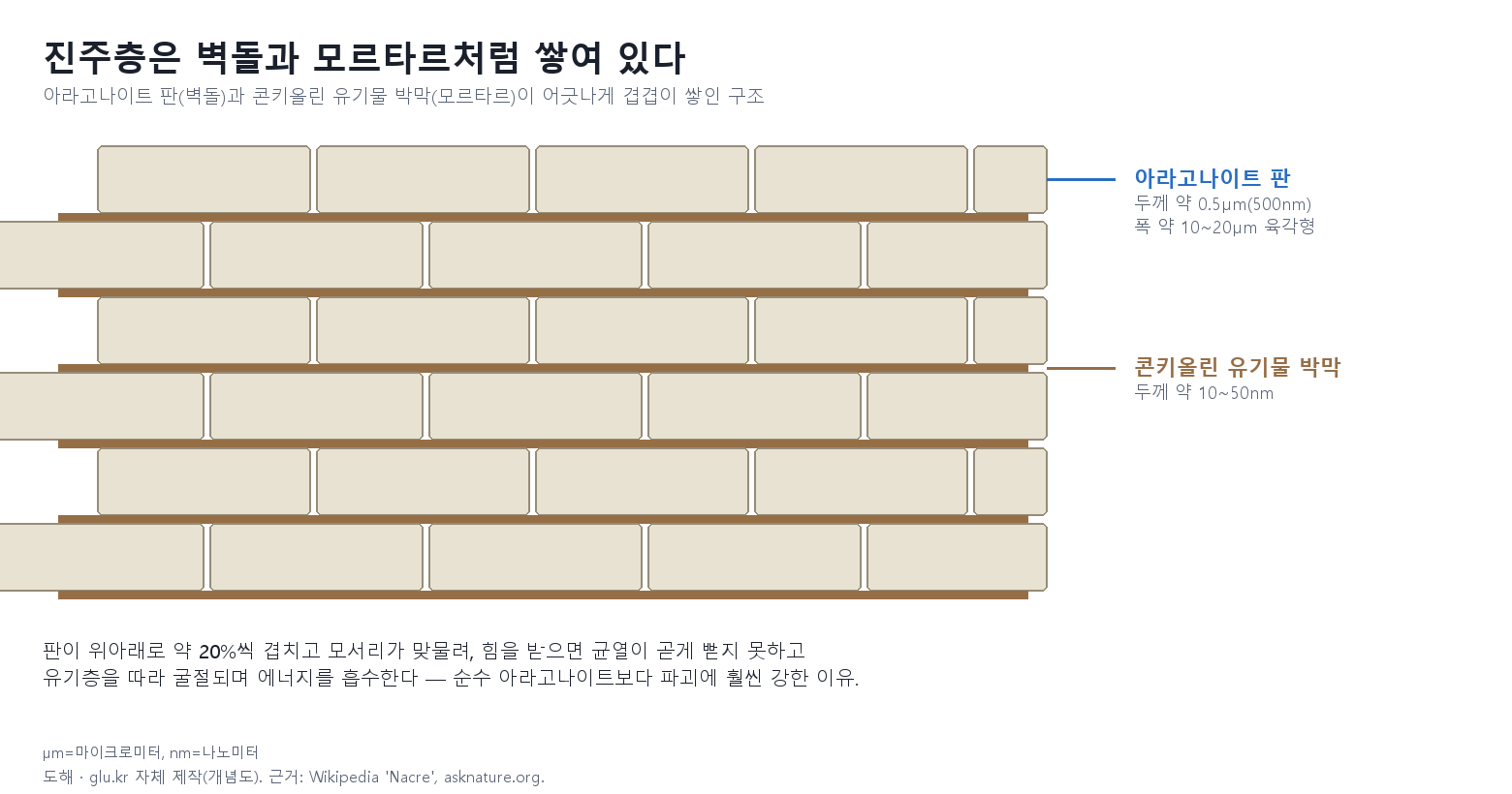 아라고나이트 판과 콘키올린 유기물 박막이 겹겹이 쌓인 진주층 단면 개념도