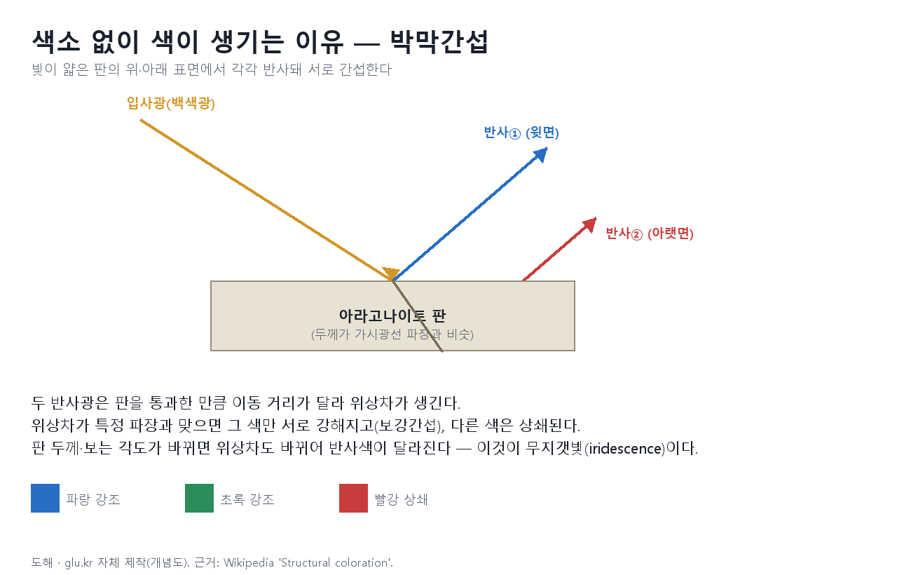 빛이 판의 위·아래 표면에서 반사돼 간섭을 일으키는 박막간섭 원리 도해