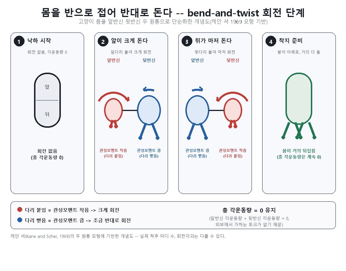 앞반신과 뒷반신이 다리를 접고 펴며 반대 방향으로 회전하는 과정을 보여주는 도해