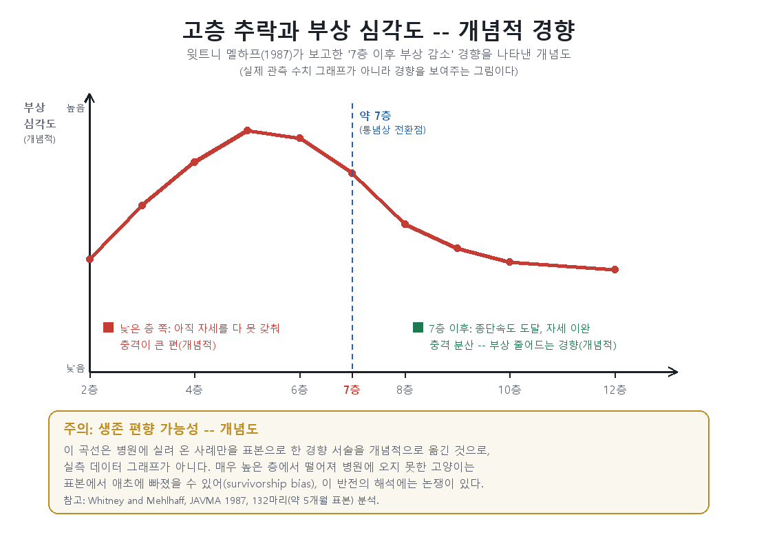 낙하 층수에 따른 고양이 부상 중증도 변화를 보여주는 비단조 곡선 그래프, 생존 편향 주석 포함