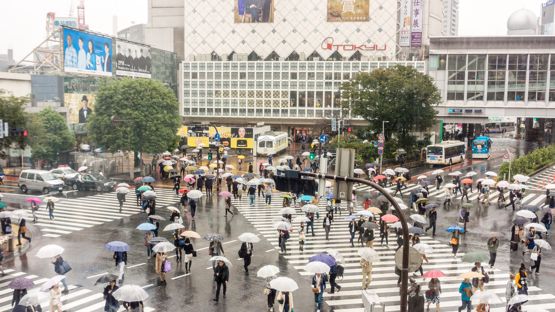 A line of umbrellas in the Changma rain - crowds crossing the Shibuya Pedestrian Scramble