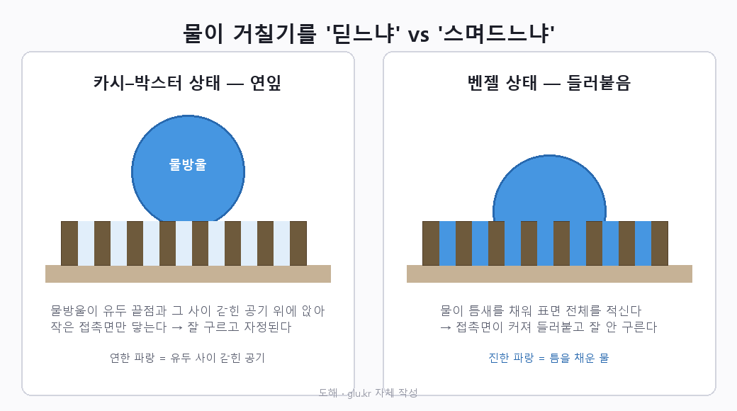 거친 표면 위 물방울의 두 상태를 나란히 비교한 단면 도해. 왼쪽은 돌기 끝과 갇힌 공기 위에 앉은 상태, 오른쪽은 골을 물이 채워 붙은 상태