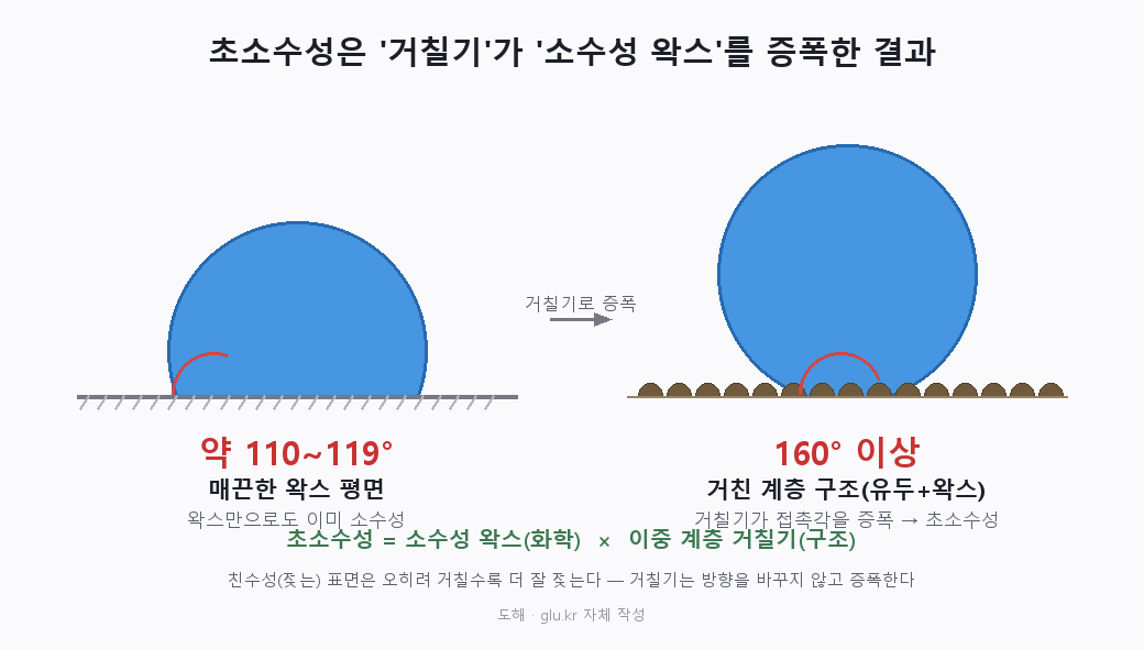 매끈한 왁스 표면의 접촉각 약 110~119도와 거친 계층 표면의 접촉각 160도 이상을 물방울 형태로 비교한 도해