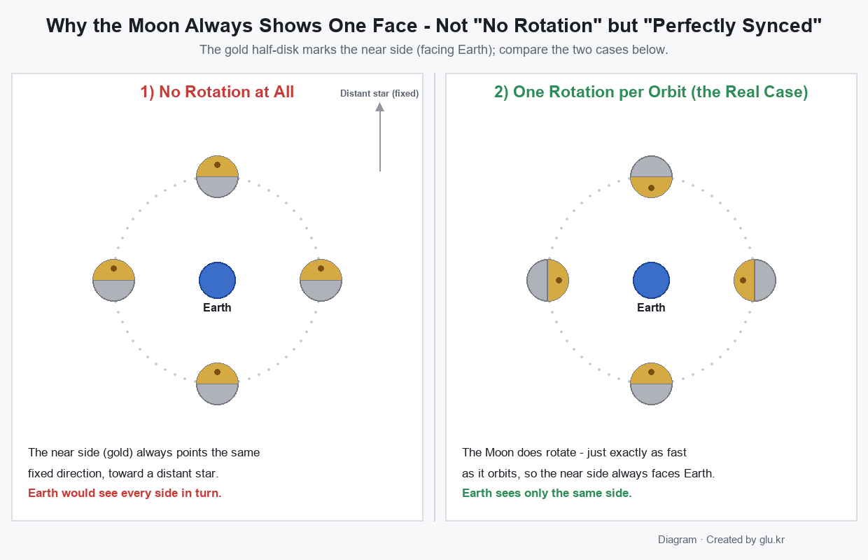 Diagram comparing no rotation versus one rotation per orbit as the Moon circles the Earth