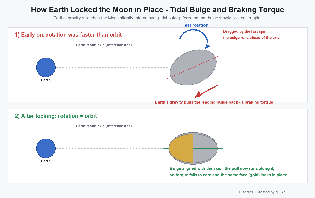 Diagram of the tidal bulge and braking torque that produced tidal locking