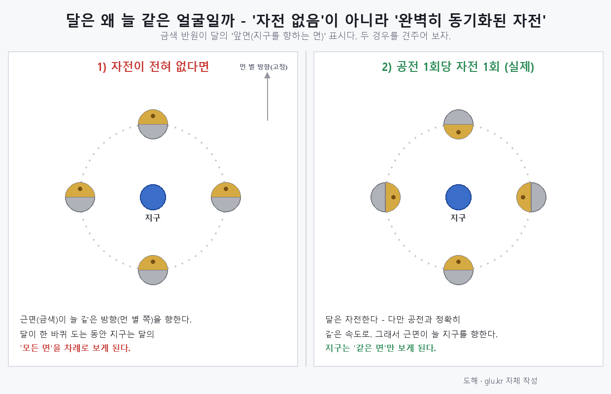 Diagram comparing no rotation versus one rotation per orbit as the Moon circles the Earth
