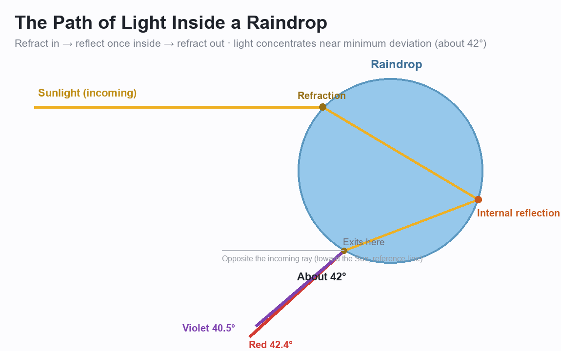 Cross-section diagram of a spherical raindrop. Sunlight refracts in, reflects once off the back, and refracts out at about 42 degrees