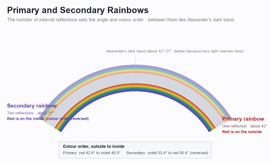 Diagram comparing the light paths of the primary and secondary rainbows. The primary is one reflection at about 42 degrees, the secondary two reflections at about 51 degrees, with reversed colour order