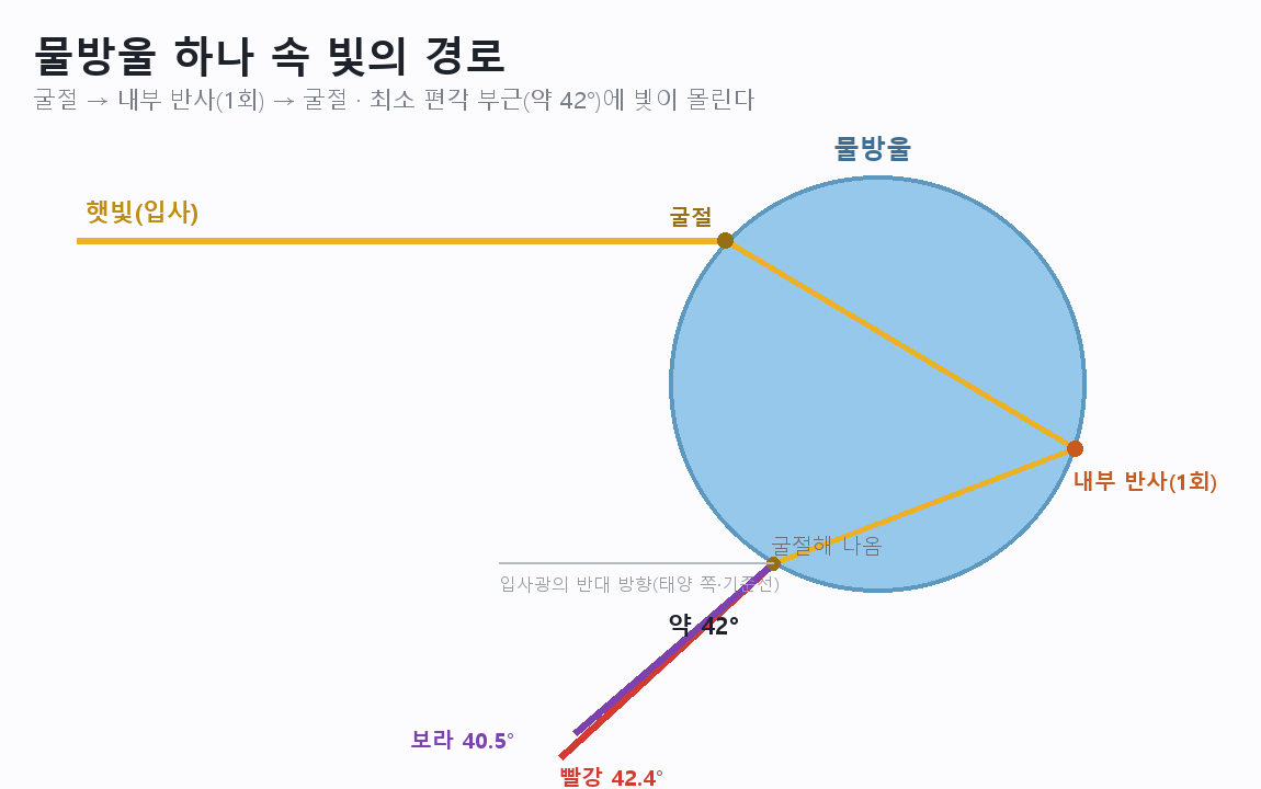 구형 물방울 단면 도해. 햇빛이 굴절해 들어가 뒷면에서 한 번 반사한 뒤 다시 굴절해 약 42도 방향으로 나온다