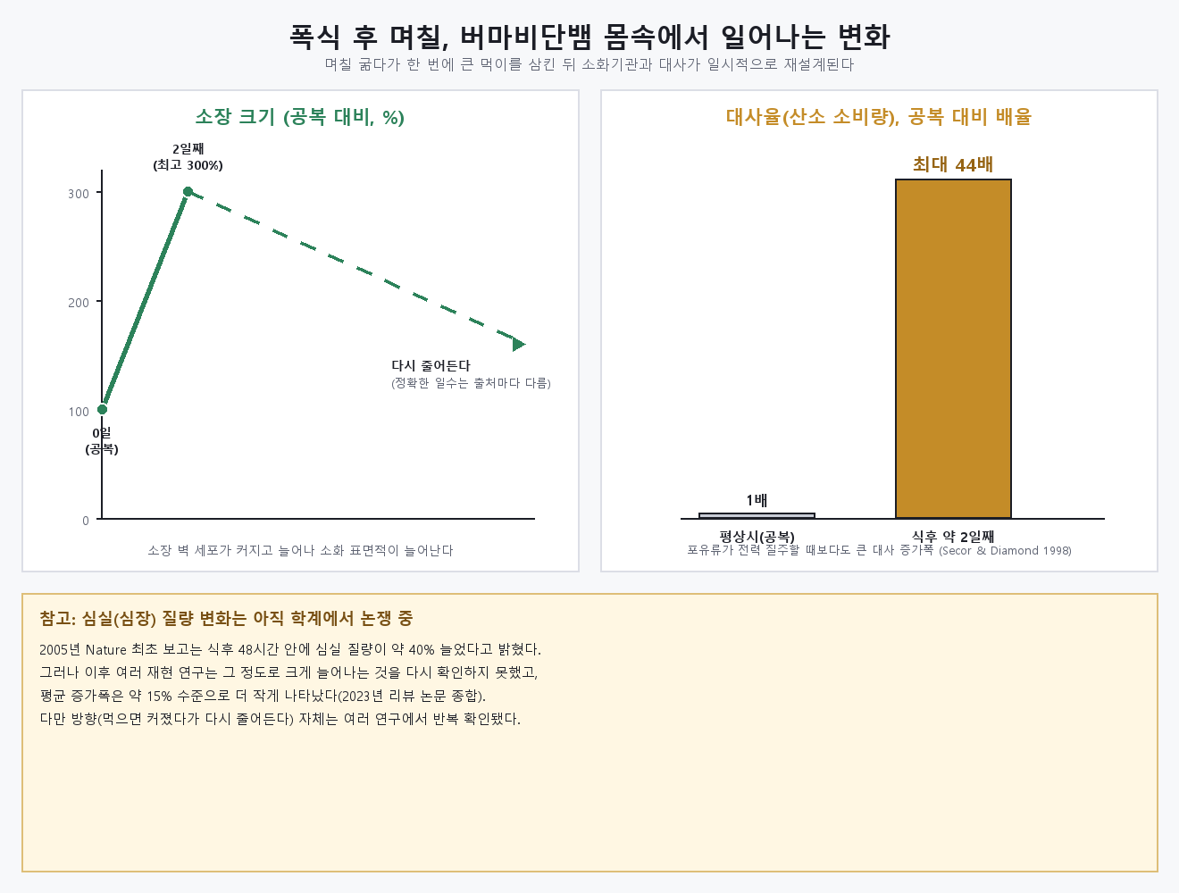 버마비단뱀 소장 두께와 대사율 변화를 보여주는 그래프, 심실 질량 논쟁 설명 포함