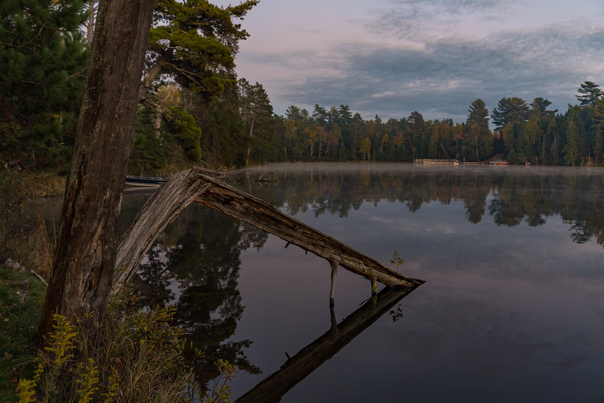 A thin layer of fog on Bear Head Lake, reflected woodland and a leaning tree in the foreground
