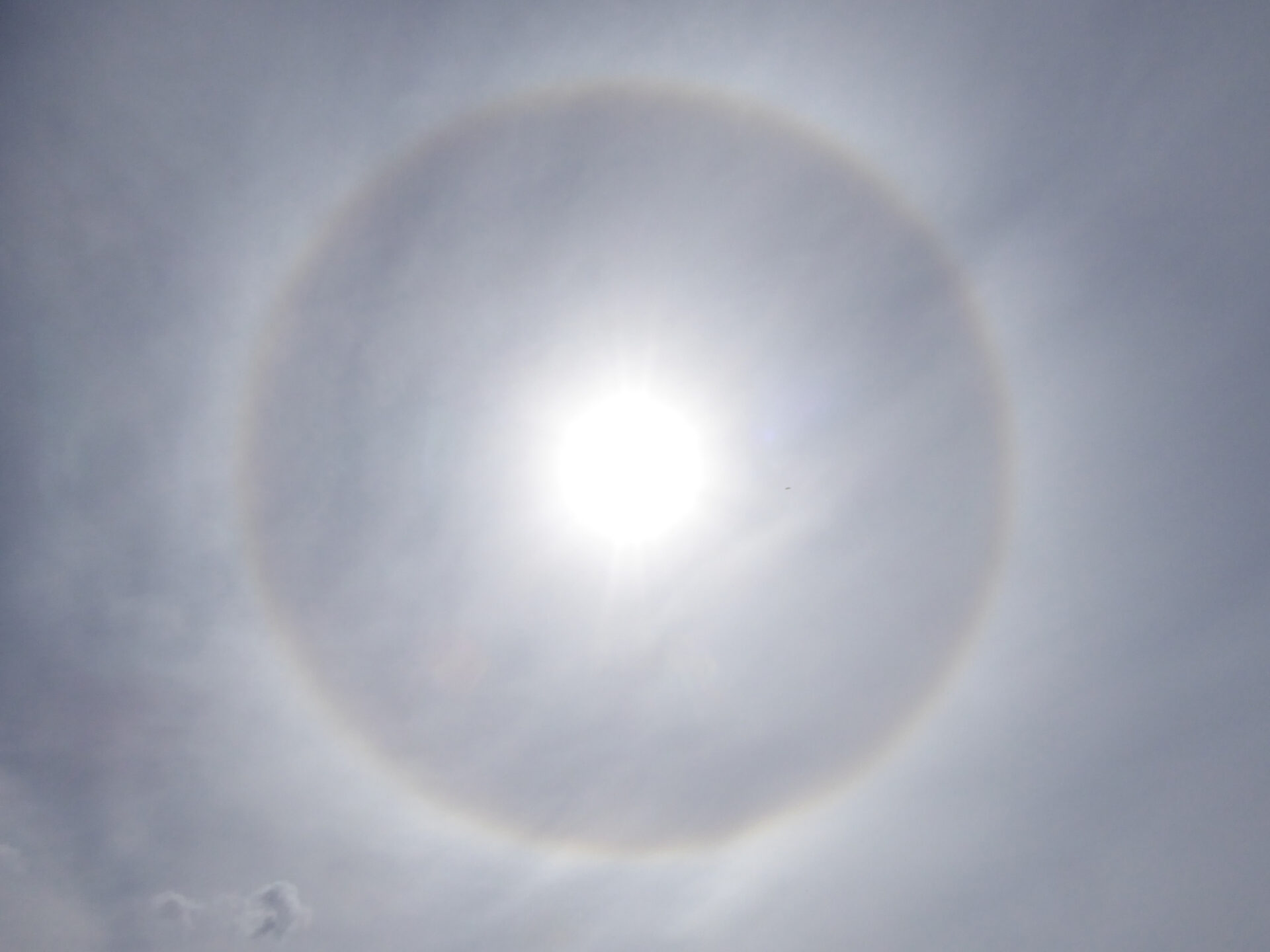 A broad ring of light surrounding the Sun in the sky