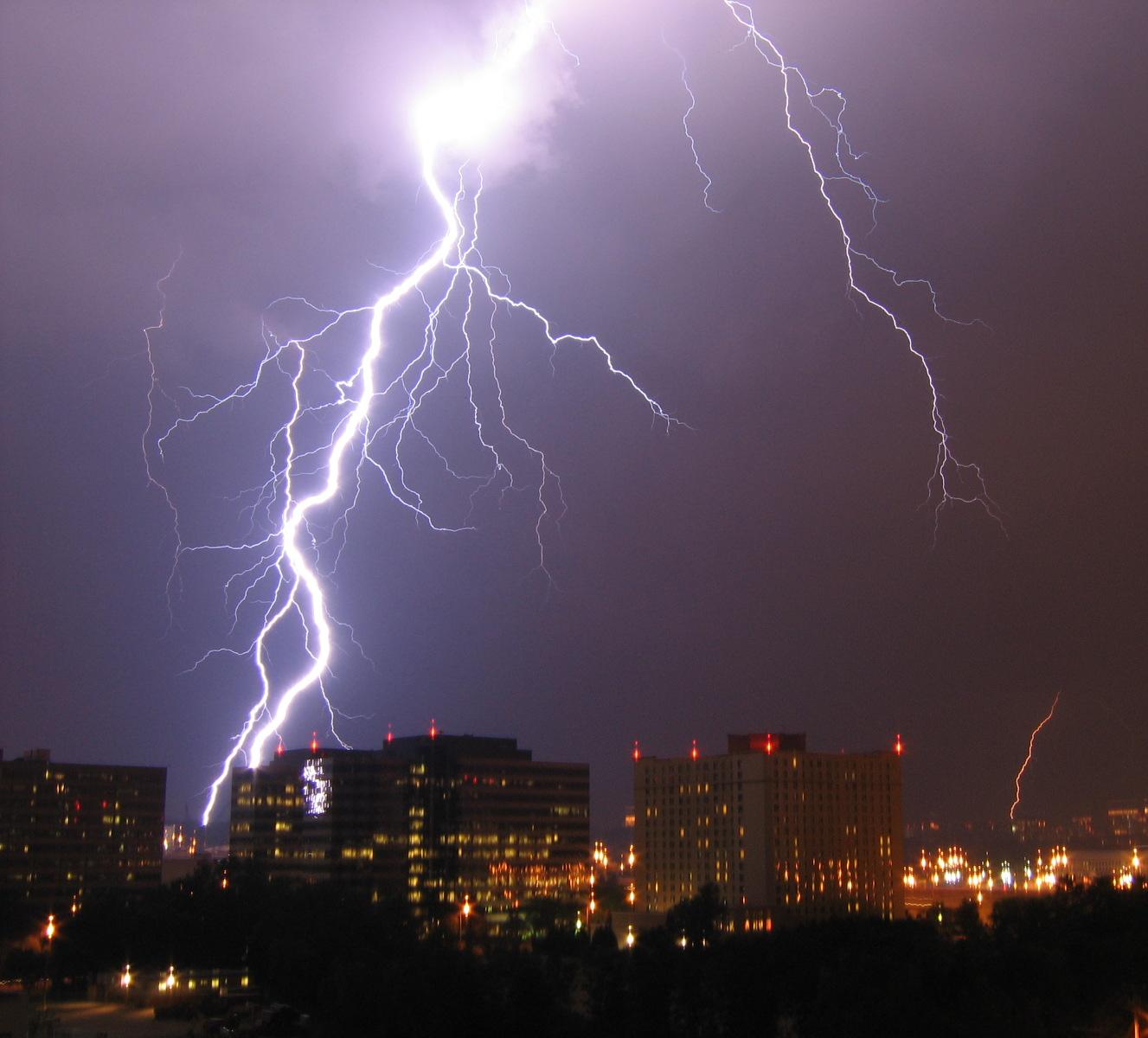 Bright lightning and numerous fine branches above buildings in Pentagon City, Arlington