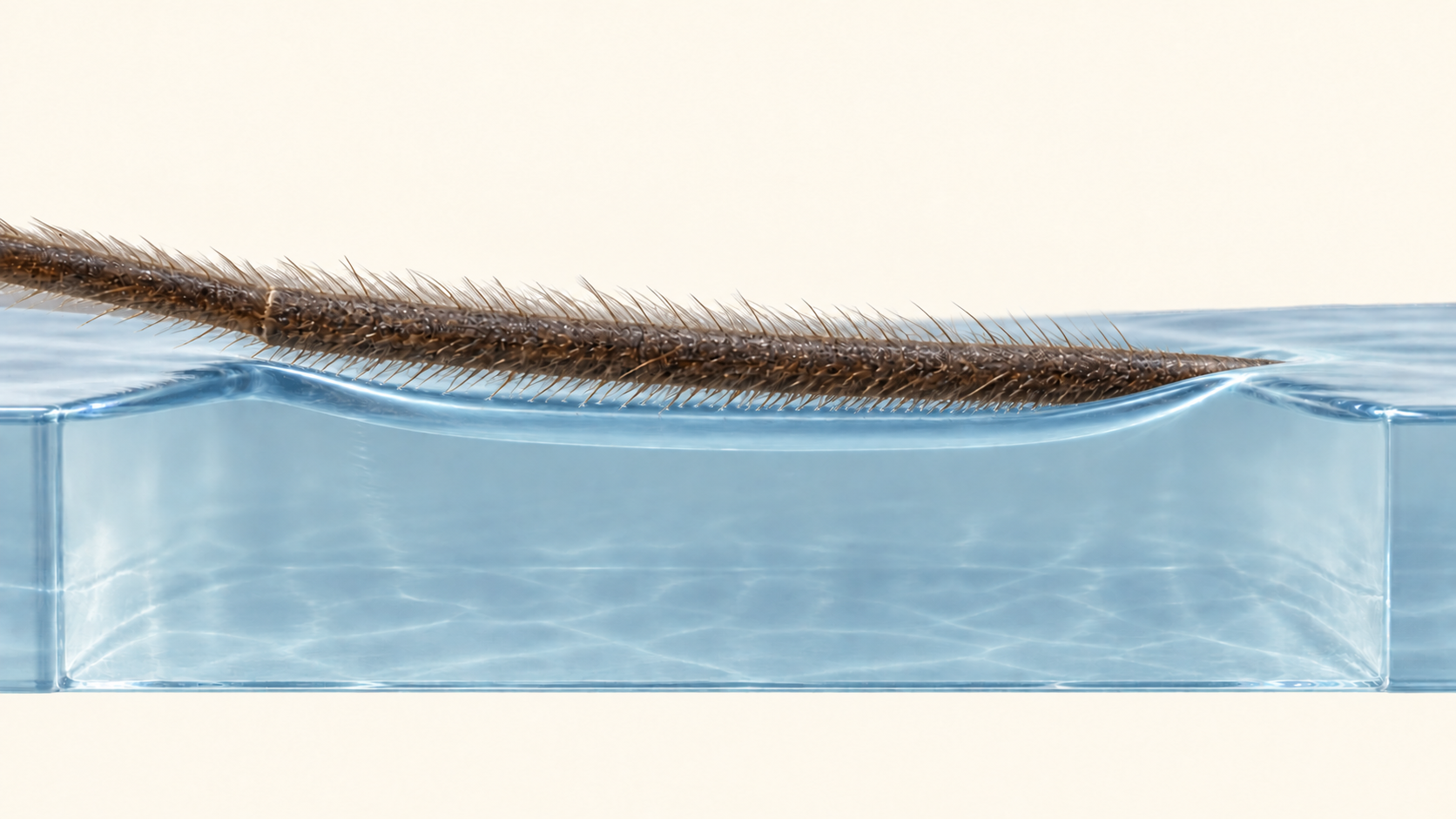 A dimensional concept illustration of water curving into a depression beneath a hairy leg