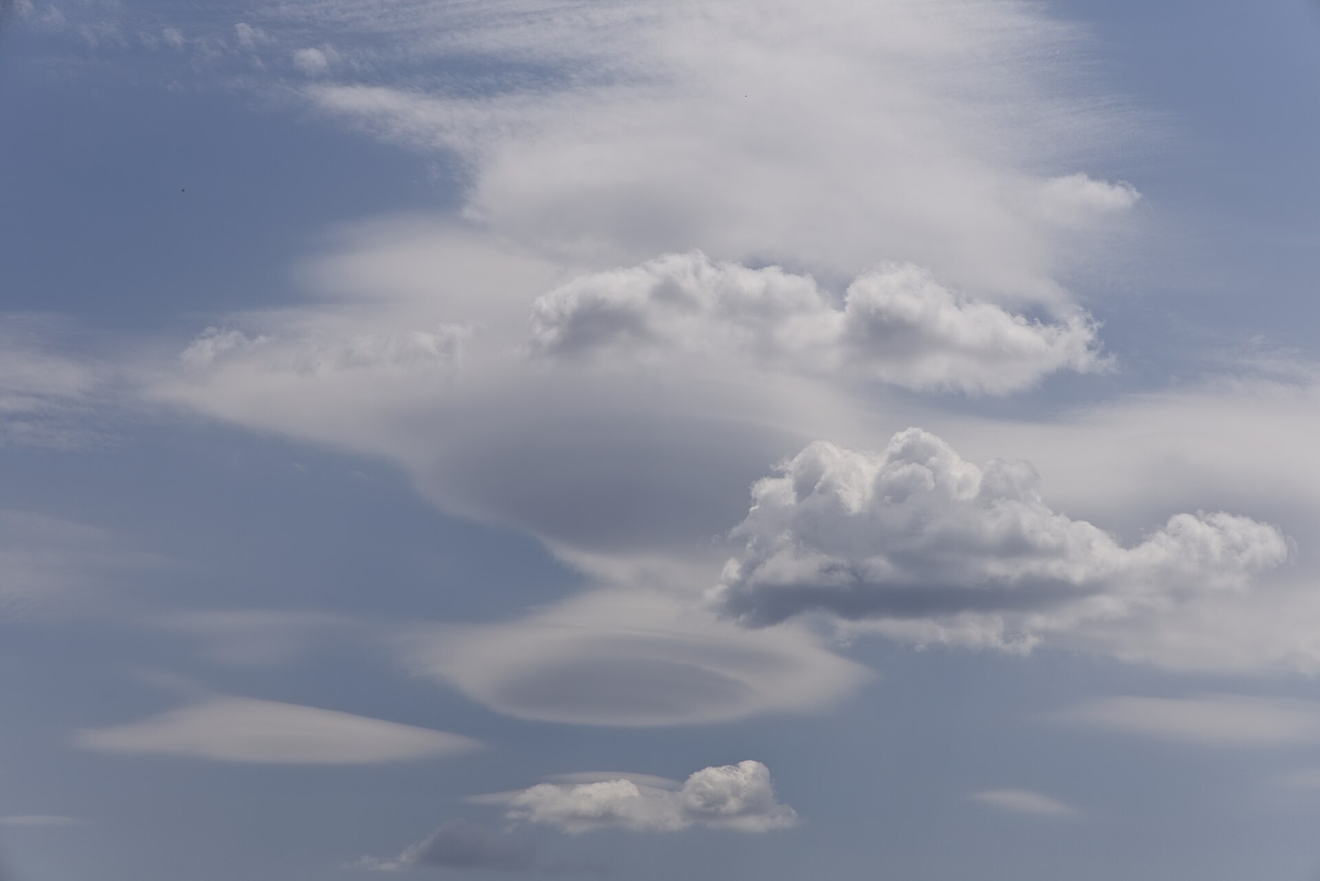 Smooth oval lenticular clouds sharing the sky with lumpy cumulus clouds