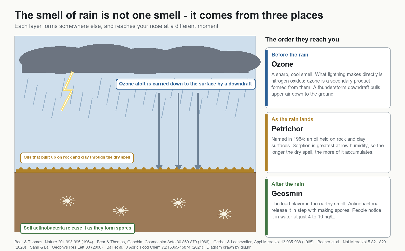 Diagram showing a cloud and lightning, downdraft arrows, a band of oils at the ground surface and mycelium in the soil, with three timing cards on the right